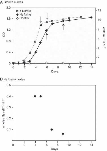 https://cdn.ncbi.nlm.nih.gov/pmc/blobs/a033/3627308/8daaf60b54a7/gbi0009-0094-f2.jpg