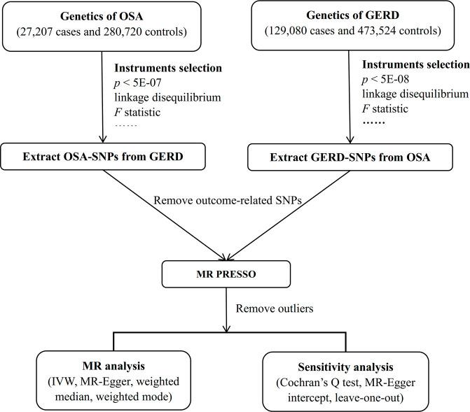https://cdn.ncbi.nlm.nih.gov/pmc/blobs/a036/10113458/ec994e41399b/fgene-14-1111144-g001.jpg