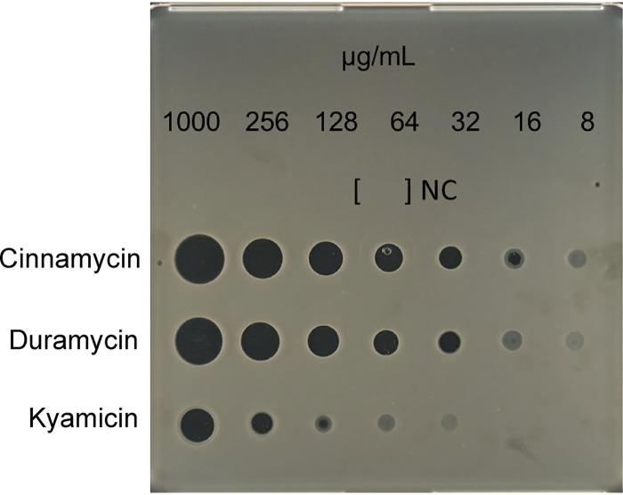 https://cdn.ncbi.nlm.nih.gov/pmc/blobs/a038/6974636/0c0c5e118570/AEM.01876-19-f0004.jpg