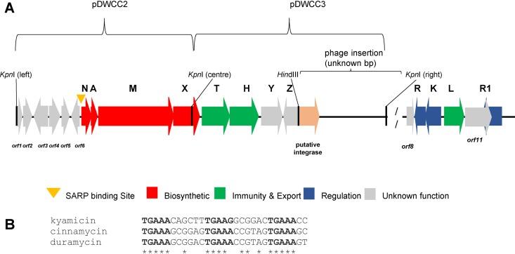 https://cdn.ncbi.nlm.nih.gov/pmc/blobs/a038/6974636/66529e0ea08d/AEM.01876-19-f0005.jpg