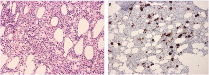 https://cdn.ncbi.nlm.nih.gov/pmc/blobs/a039/11471597/81ac093600ee/pore-30-1611914-g002.jpg