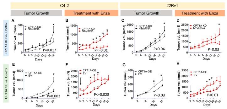 https://cdn.ncbi.nlm.nih.gov/pmc/blobs/a039/6830347/6a6c8a4ebf3f/cells-08-01115-g005.jpg