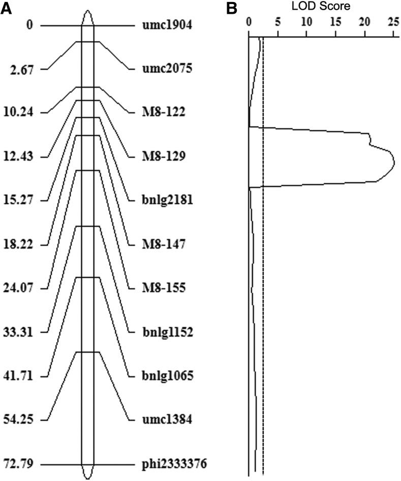 https://cdn.ncbi.nlm.nih.gov/pmc/blobs/a039/7341123/511c5a6b491e/2457f3.jpg