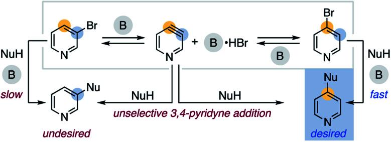 https://cdn.ncbi.nlm.nih.gov/pmc/blobs/a039/8162412/04be24113ffc/d0sc02689a-s3.jpg