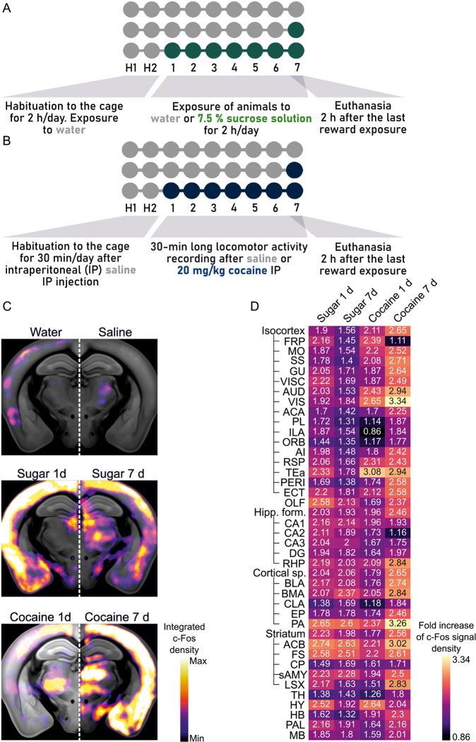 https://cdn.ncbi.nlm.nih.gov/pmc/blobs/a03a/9868126/986bb8970274/41398_2023_2318_Fig1_HTML.jpg