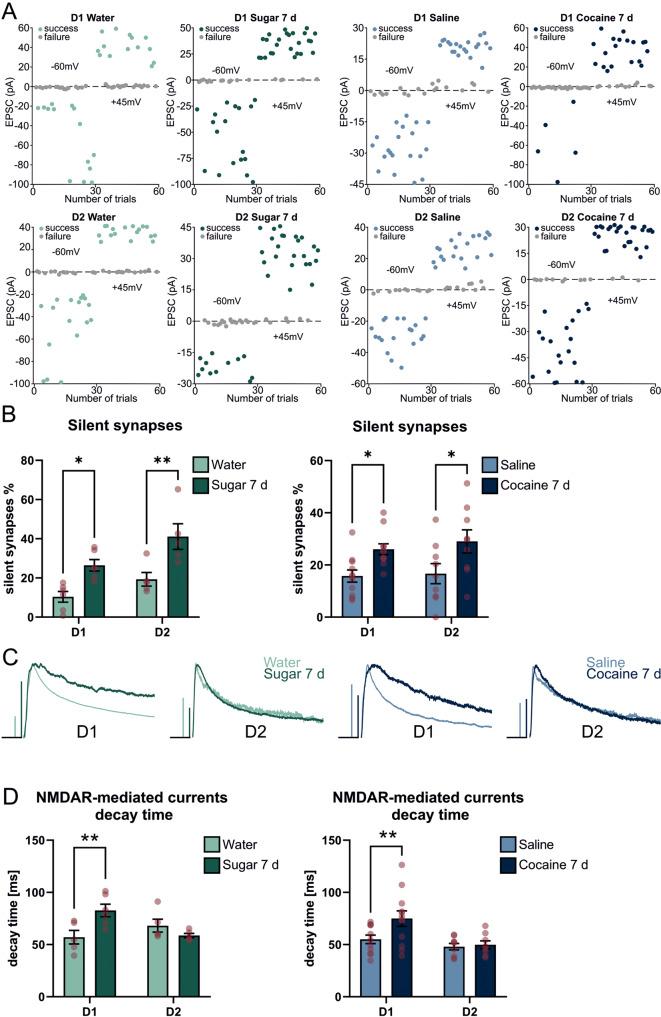 https://cdn.ncbi.nlm.nih.gov/pmc/blobs/a03a/9868126/b47411c2c120/41398_2023_2318_Fig5_HTML.jpg