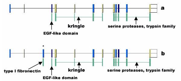 https://cdn.ncbi.nlm.nih.gov/pmc/blobs/a03b/119855/0e5d4f8581cb/1471-2105-3-19-5.jpg