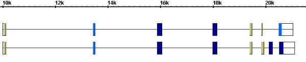 https://cdn.ncbi.nlm.nih.gov/pmc/blobs/a03b/119855/5f91e402efde/1471-2105-3-19-4.jpg