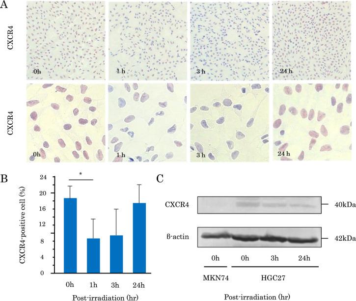 https://cdn.ncbi.nlm.nih.gov/pmc/blobs/a03b/12173636/1bb4eb3d03e2/AHC25-00002f06.jpg