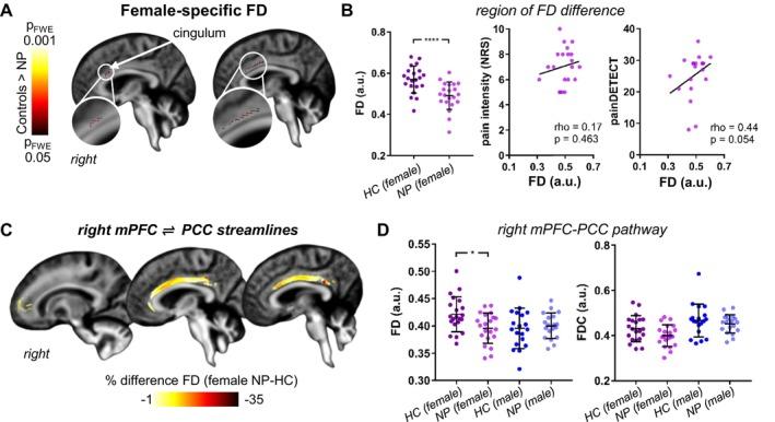 https://cdn.ncbi.nlm.nih.gov/pmc/blobs/a03c/11726370/a7efee606cd2/HBM-46-e70135-g006.jpg