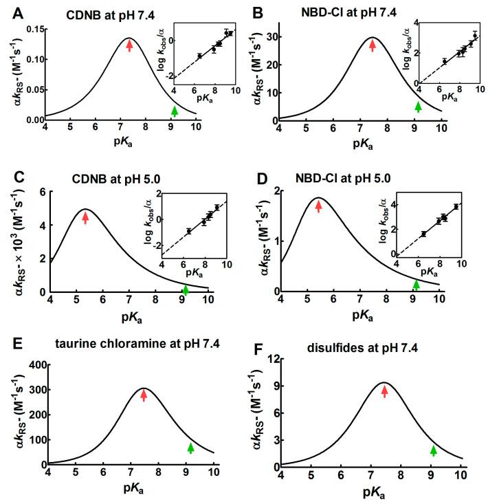 https://cdn.ncbi.nlm.nih.gov/pmc/blobs/a03c/7555924/796df77cbb11/ijms-21-06949-g001.jpg