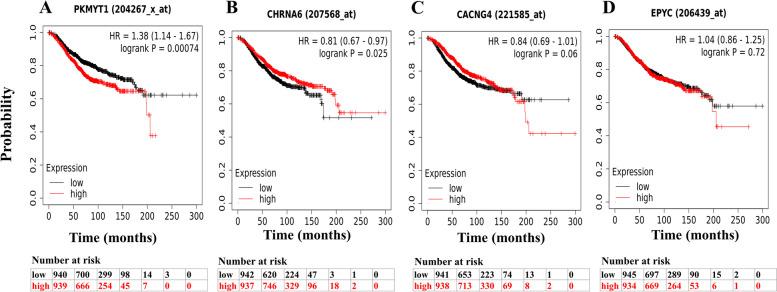 https://cdn.ncbi.nlm.nih.gov/pmc/blobs/a03f/10829368/05131f087620/12885_2024_11913_Fig2_HTML.jpg