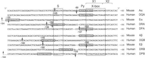 https://cdn.ncbi.nlm.nih.gov/pmc/blobs/a040/52925/a6578ff5c080/pnas01072-0449-a.jpg