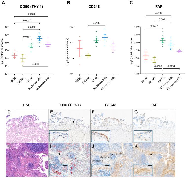 https://cdn.ncbi.nlm.nih.gov/pmc/blobs/a041/12196869/2b7b2dad436d/proteomes-13-00017-g006.jpg