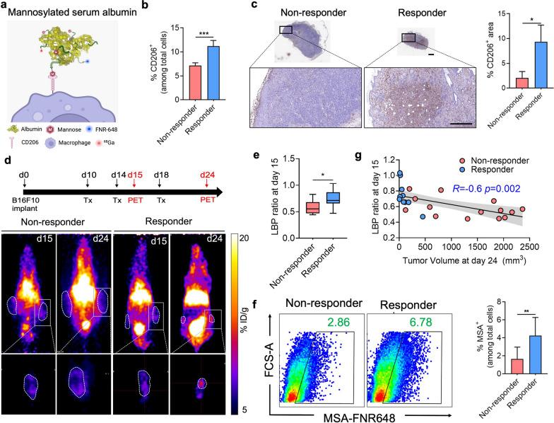 https://cdn.ncbi.nlm.nih.gov/pmc/blobs/a041/9881286/51f7f1da22e7/12951_2023_1791_Fig4_HTML.jpg