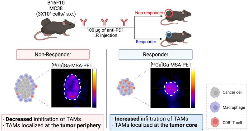 https://cdn.ncbi.nlm.nih.gov/pmc/blobs/a041/9881286/9e77ec3fe445/12951_2023_1791_Fig1_HTML.jpg