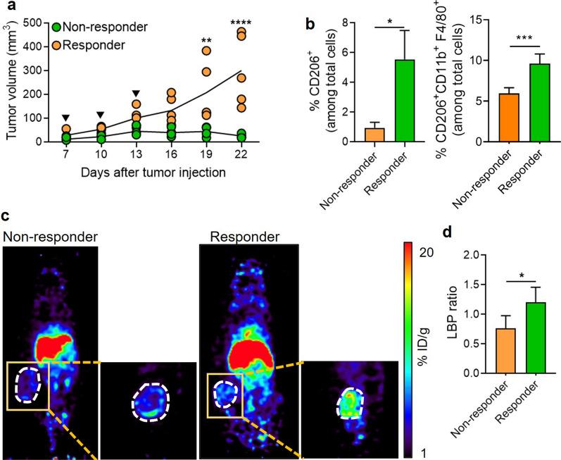 https://cdn.ncbi.nlm.nih.gov/pmc/blobs/a041/9881286/afbf080d97ce/12951_2023_1791_Fig5_HTML.jpg
