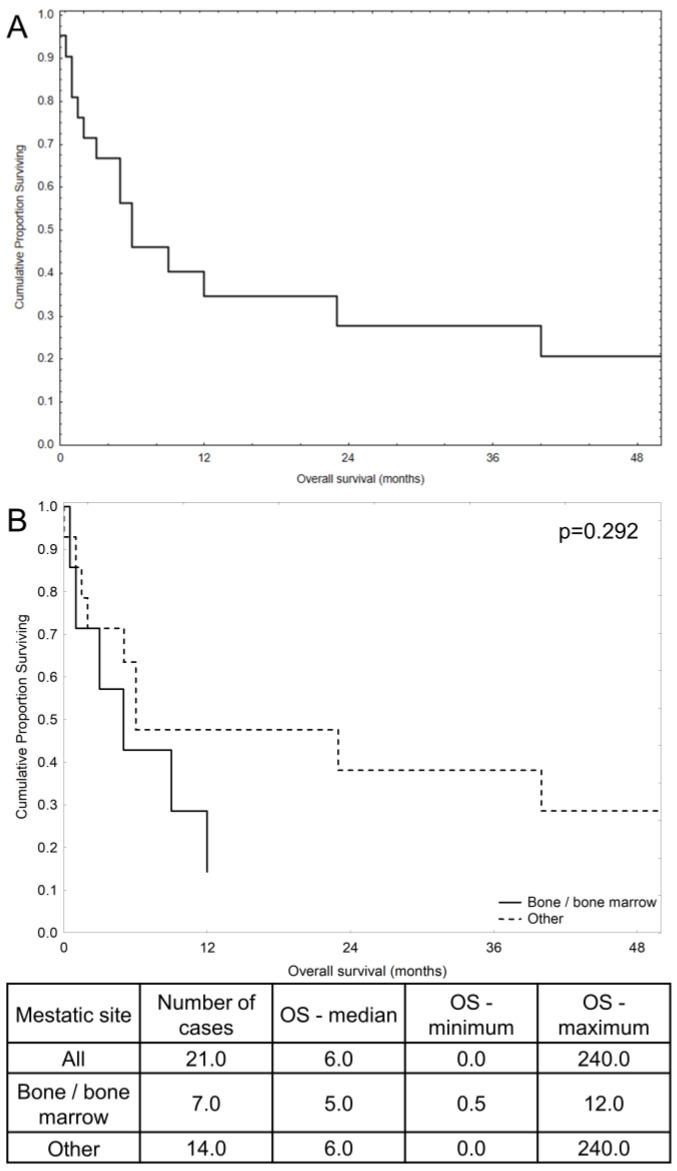https://cdn.ncbi.nlm.nih.gov/pmc/blobs/a042/11503393/2cd457317403/hematolrep-16-00063-g002.jpg