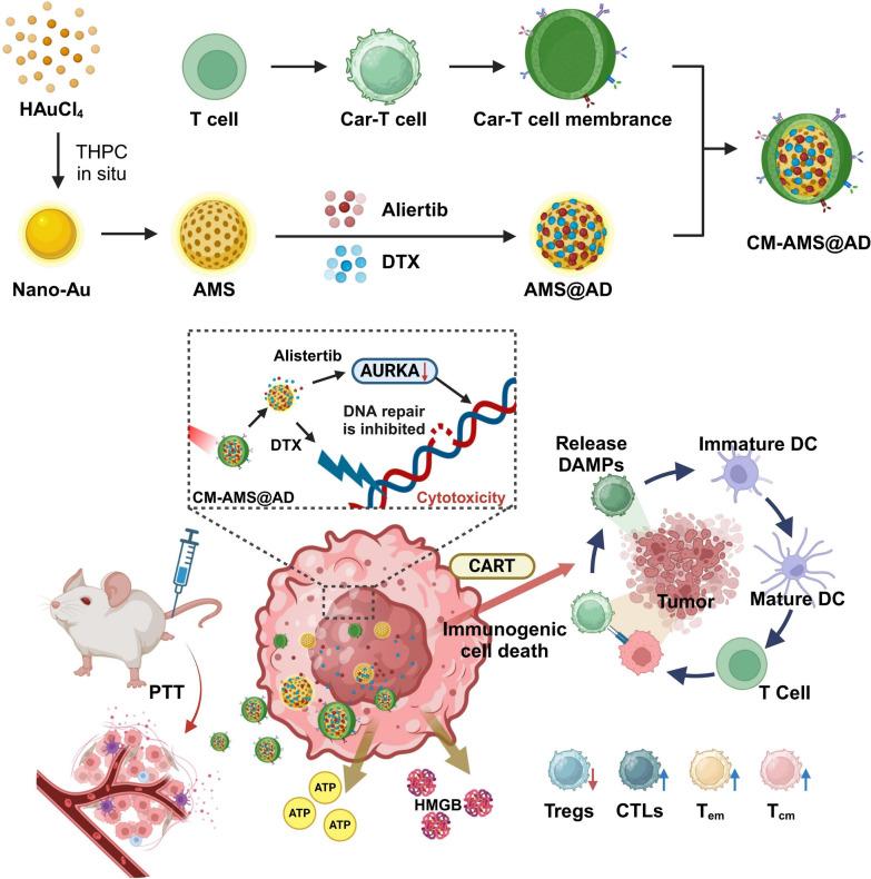 https://cdn.ncbi.nlm.nih.gov/pmc/blobs/a042/11684087/03dd9bfaf915/12951_2024_3070_Fig8_HTML.jpg