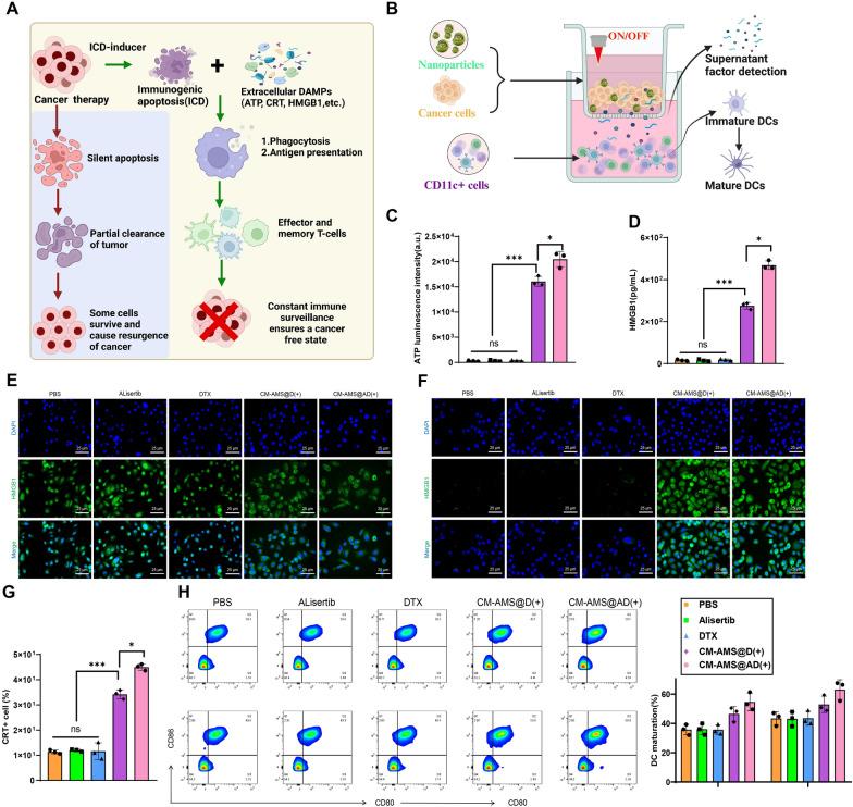 https://cdn.ncbi.nlm.nih.gov/pmc/blobs/a042/11684087/2c86eb6fc2d1/12951_2024_3070_Fig5_HTML.jpg