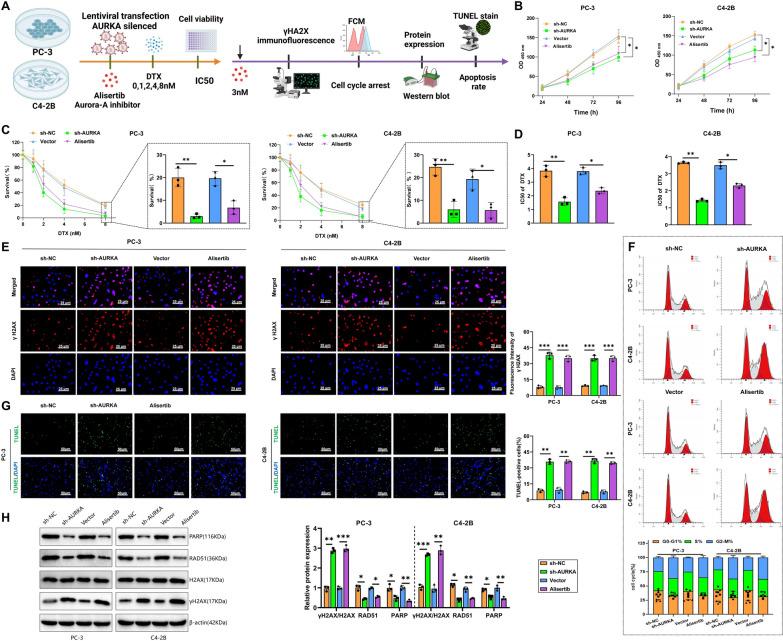 https://cdn.ncbi.nlm.nih.gov/pmc/blobs/a042/11684087/c9961caeb22f/12951_2024_3070_Fig1_HTML.jpg