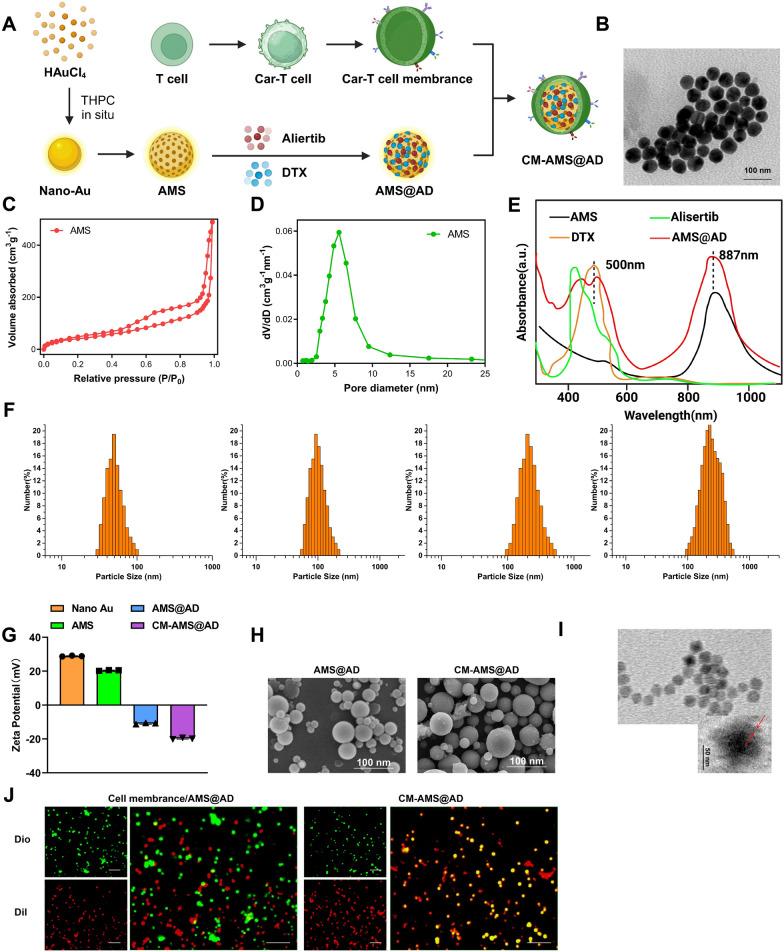 https://cdn.ncbi.nlm.nih.gov/pmc/blobs/a042/11684087/f5d9272a573a/12951_2024_3070_Fig3_HTML.jpg