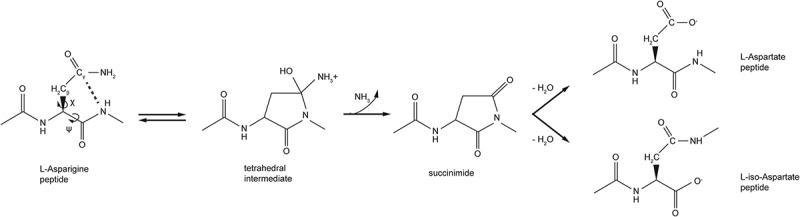 https://cdn.ncbi.nlm.nih.gov/pmc/blobs/a042/6152450/15195d6fef53/kmab-10-06-1478646-g001.jpg