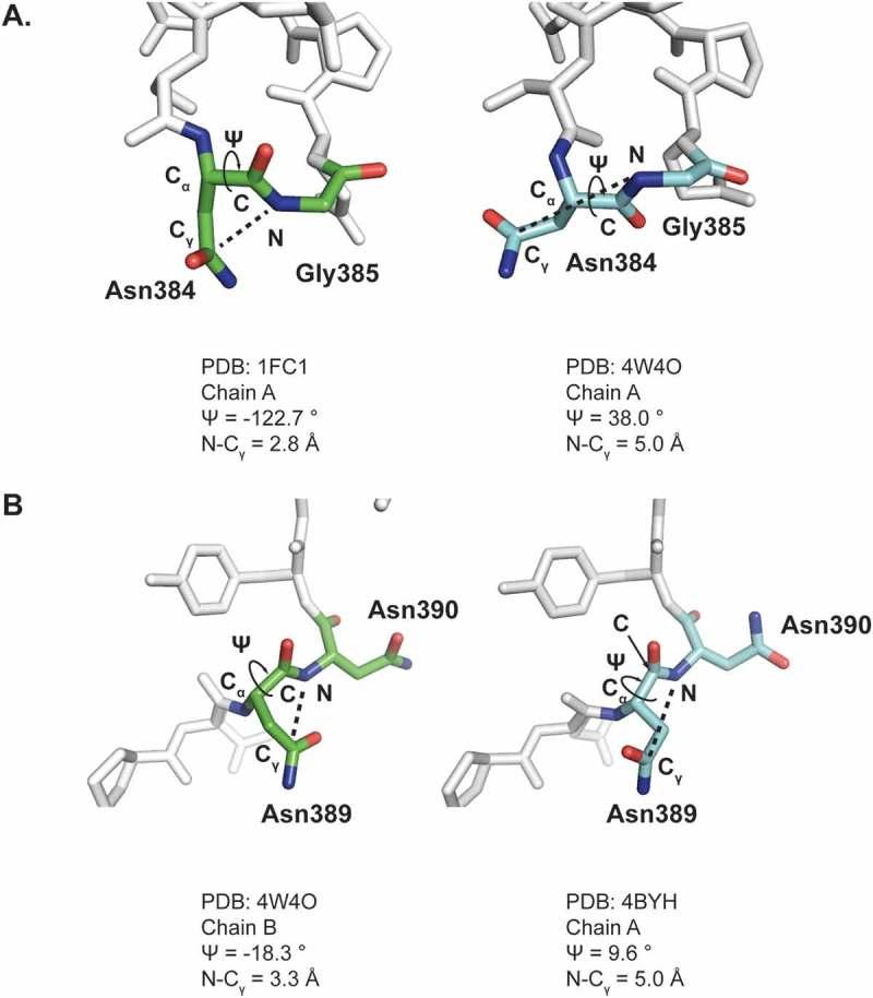 https://cdn.ncbi.nlm.nih.gov/pmc/blobs/a042/6152450/4f9dc60dd17d/kmab-10-06-1478646-g003.jpg