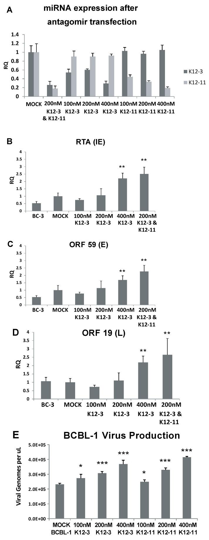 https://cdn.ncbi.nlm.nih.gov/pmc/blobs/a043/4213575/193885b17f53/viruses-06-04005-g001.jpg