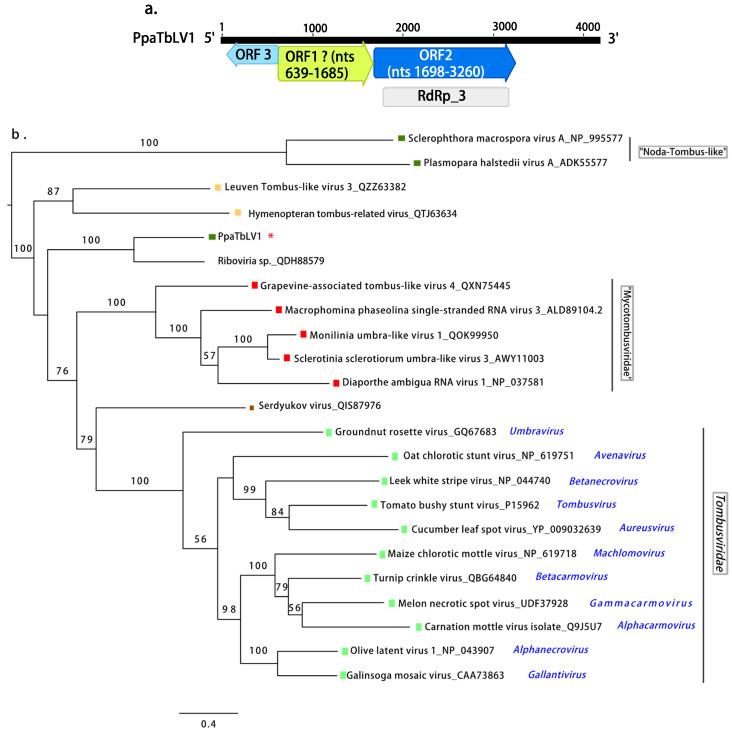 https://cdn.ncbi.nlm.nih.gov/pmc/blobs/a043/9698713/09b34d0c7c95/jof-08-01118-g003.jpg