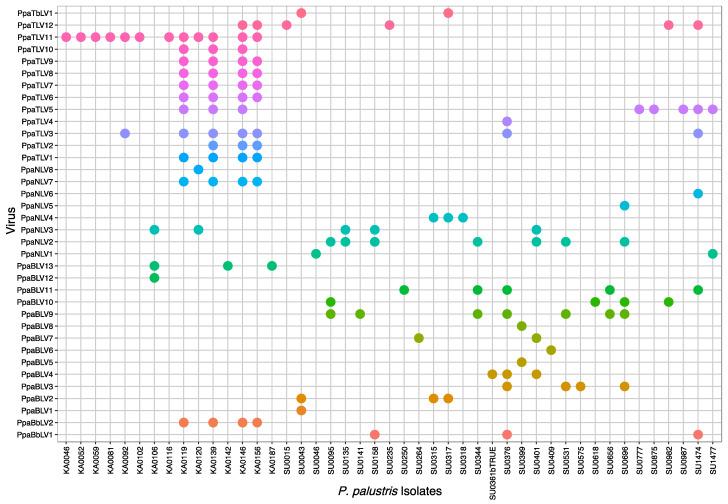 https://cdn.ncbi.nlm.nih.gov/pmc/blobs/a043/9698713/31b8121b579b/jof-08-01118-g008.jpg
