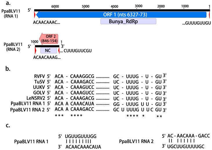 https://cdn.ncbi.nlm.nih.gov/pmc/blobs/a043/9698713/b0328655fc6c/jof-08-01118-g001.jpg