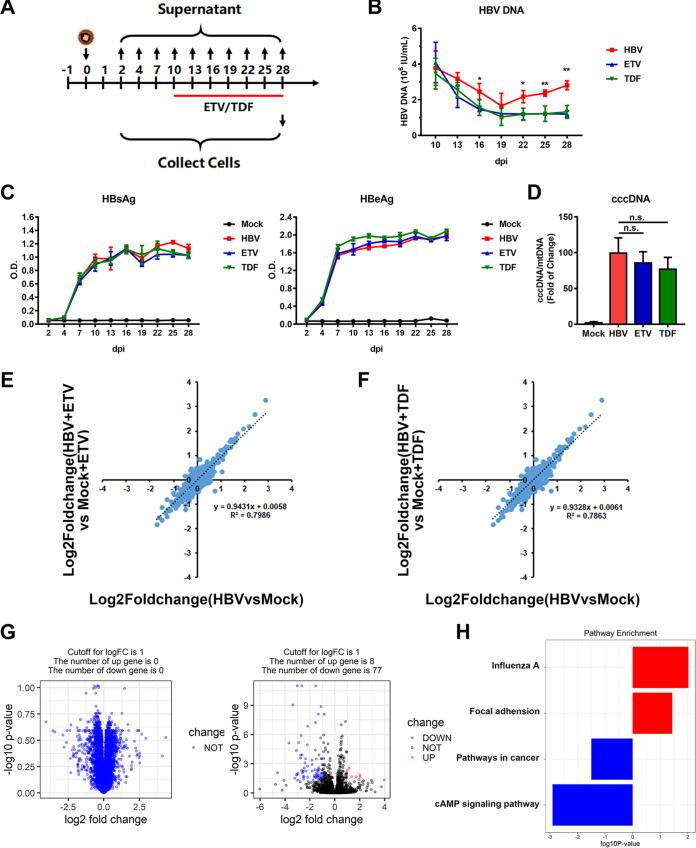 https://cdn.ncbi.nlm.nih.gov/pmc/blobs/a045/8849052/75588537d552/spectrum.01328-21-f005.jpg