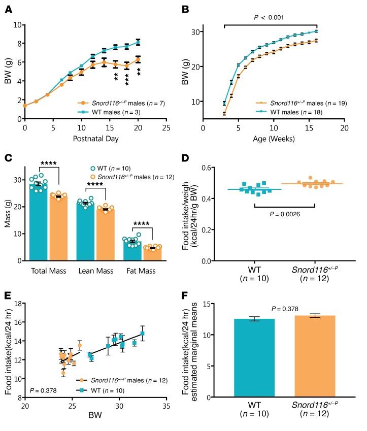 https://cdn.ncbi.nlm.nih.gov/pmc/blobs/a046/5824864/4bac6a45b9a2/jci-128-97007-g001.jpg
