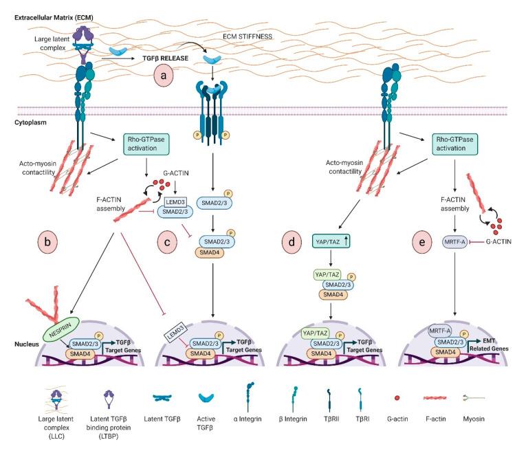 https://cdn.ncbi.nlm.nih.gov/pmc/blobs/a046/7926735/6e3ee43efe44/biomolecules-11-00336-g001.jpg