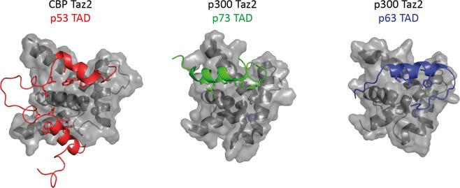 https://cdn.ncbi.nlm.nih.gov/pmc/blobs/a048/9091270/b933c16d5716/41418_2022_975_Fig2_HTML.jpg