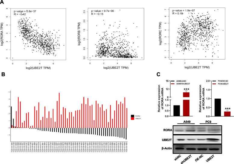 https://cdn.ncbi.nlm.nih.gov/pmc/blobs/a049/11409575/c0c3aaf56b47/12885_2024_12887_Fig3_HTML.jpg