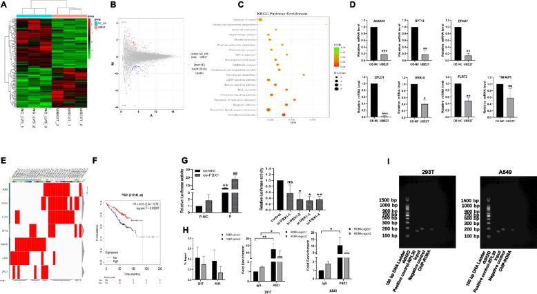 https://cdn.ncbi.nlm.nih.gov/pmc/blobs/a049/11409575/e881186dc56a/12885_2024_12887_Fig4_HTML.jpg