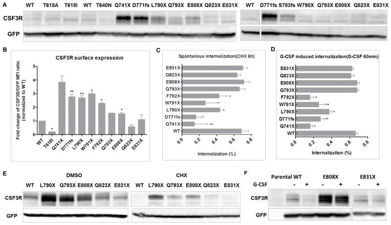 https://cdn.ncbi.nlm.nih.gov/pmc/blobs/a049/5682244/893a2a4415b9/nihms867395f2.jpg