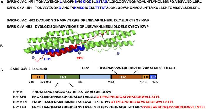 https://cdn.ncbi.nlm.nih.gov/pmc/blobs/a049/9278106/a09eeb058f8d/jvi.00681-22-f001.jpg