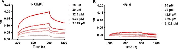 https://cdn.ncbi.nlm.nih.gov/pmc/blobs/a049/9278106/d82687d6c345/jvi.00681-22-f005.jpg