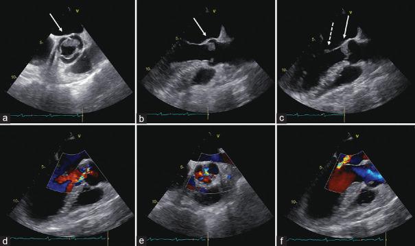 https://cdn.ncbi.nlm.nih.gov/pmc/blobs/a049/9558646/f13eab324f38/JCE-32-129-g001.jpg