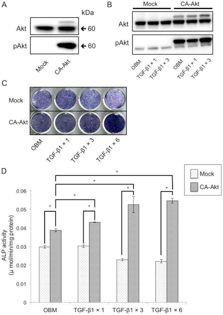 https://cdn.ncbi.nlm.nih.gov/pmc/blobs/a04a/4254279/01c12a568534/pone.0112566.g003.jpg