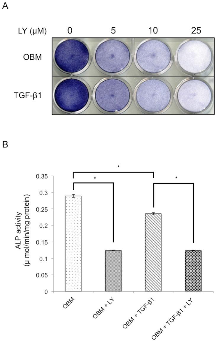 https://cdn.ncbi.nlm.nih.gov/pmc/blobs/a04a/4254279/2a94348e4f26/pone.0112566.g001.jpg