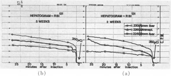 https://cdn.ncbi.nlm.nih.gov/pmc/blobs/a04b/1355180/82b1ae916865/annsurg00265-0071-b.jpg