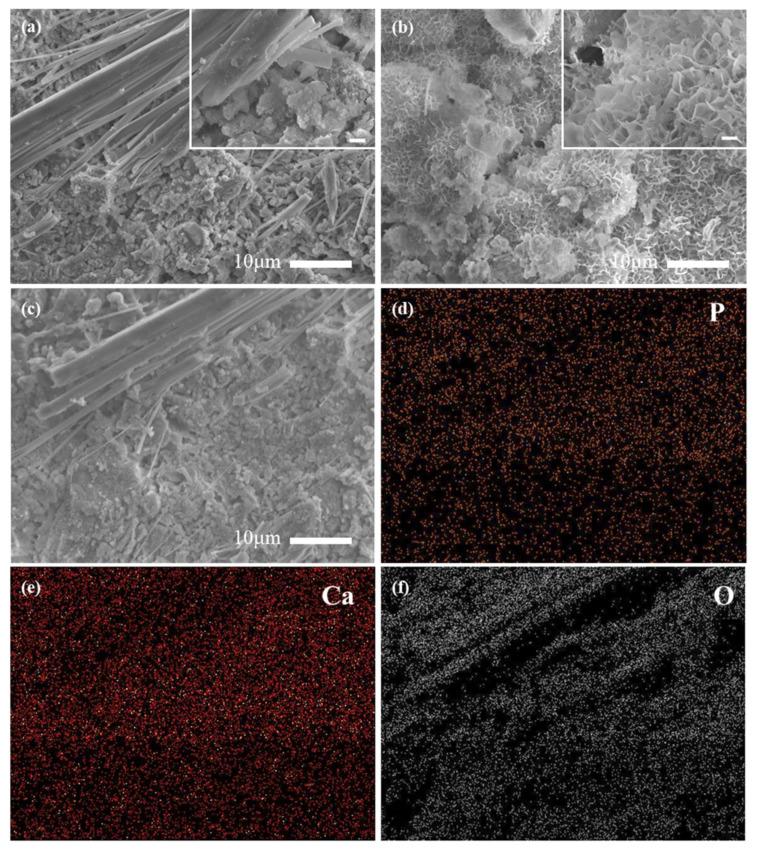 https://cdn.ncbi.nlm.nih.gov/pmc/blobs/a04b/8228387/fdb414fa68e9/materials-14-03187-g003.jpg