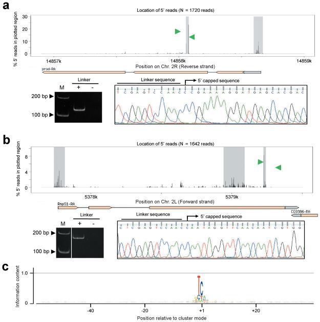 https://cdn.ncbi.nlm.nih.gov/pmc/blobs/a04c/3197272/03d739e08d47/nihms-199833-f0004.jpg