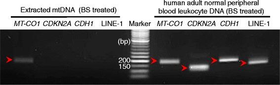 https://cdn.ncbi.nlm.nih.gov/pmc/blobs/a04c/4404685/b6fa947009b8/13148_2015_78_Fig3_HTML.jpg