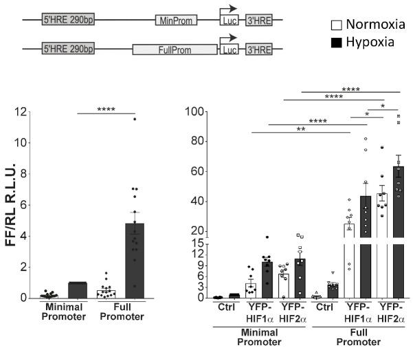 https://cdn.ncbi.nlm.nih.gov/pmc/blobs/a04e/10230427/9369baf82292/1081652.fig4.jpg