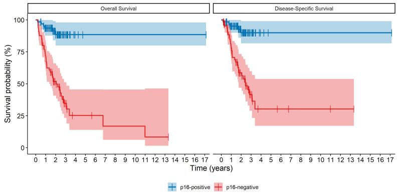 https://cdn.ncbi.nlm.nih.gov/pmc/blobs/a04e/11592546/6b444fcf7e0b/curroncol-31-00521-g001.jpg